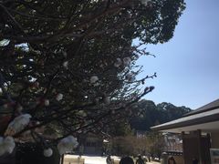 -かさの家(太宰府店)
