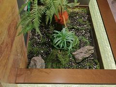 -印巷里主题餐厅(马鞍山店)