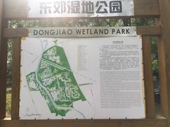 -东郊湿地公园