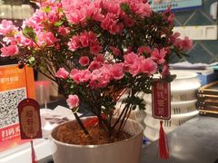 -那时新疆(经纬汇店)