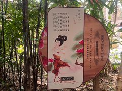 -龙达温泉生态城