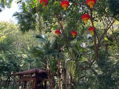 -深圳国际园林花卉博览园