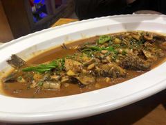 黄骨鱼-临湖人家(欢乐大道店)