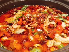 招牌水煮鱼-川悦壹号·川菜(蠡溪路店)