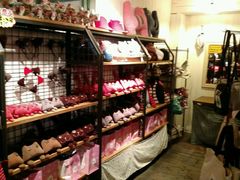 -猫咪博物馆(顶澳仔猫街店)