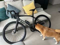 -TREK崔克自行车(碧云店)