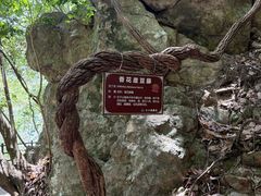 -磐安十八涡风景区