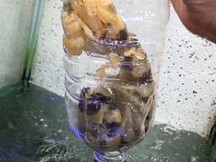 虾姑-旅南活海鲜-屏东(墾丁海鮮，海鮮餐廳，墾丁團體合菜，平價熱炒，墾丁熱炒店，活海鮮推薦，在地海鮮餐廳)