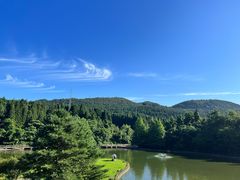 -武陵山森林公园