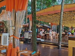 -二荆条·蜀鲜汇城市森林火锅