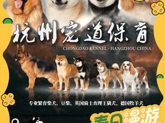 -上海长风大悦城