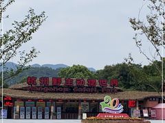 -杭州野生动物世界