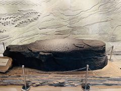 -白鹤梁水下博物馆