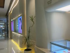 -WenTinG文汀·半糖蛋糕(合生汇店)