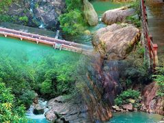 -广州白江湖森林公园