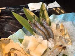 -牛New寿喜烧(新六百店)