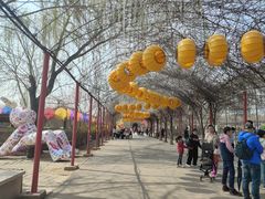 -河北村民俗体验园