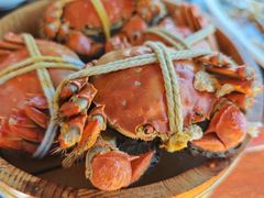 -乡乐园蟹庄·阳澄湖农家乐