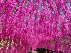 -黄金沟旅游风景区