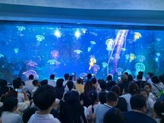 -海合安成都极地海洋公园