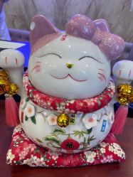 -南京医科大学友谊整形外科医院