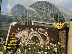 -南山植物园