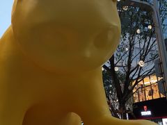 -深圳湾万象城(南山店)