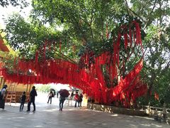 -西双版纳勐泐文化旅游区