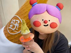 -野人先生现做冰淇淋(深圳壹方城店)