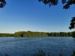 -大湾区中央湿地公园