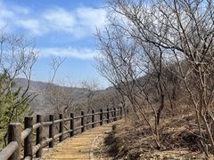 -北京西山国家森林公园