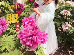 -石家庄市植物园