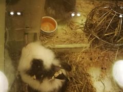 -龙猫仔乐园(惠福东路店)