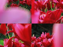 -长春公园(普阳街道)