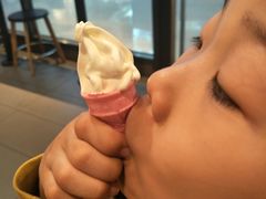 -麦当劳(石家庄北国店)