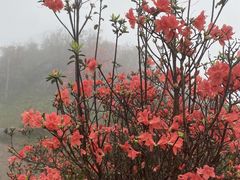 -广东天露山旅游度假区