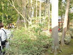 -豆政(金閣寺境内売店)