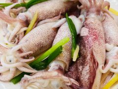 白灼鱿筒-俊江海鲜酒店(海陵岛白蒲市场店)