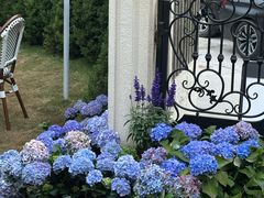 -Lamant Manor已闻花名关於蓝
