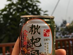 -枇杷园食为鲜火锅(南山店)