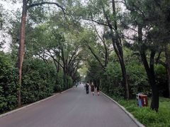 -北陵公园