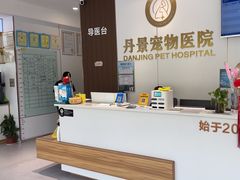 -丹景宠物医院·全科·老年病·牙科(武昌诊疗中心)