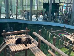 -大连森林动物园