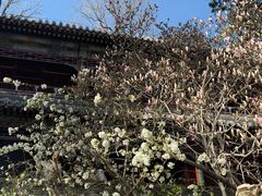 -潭柘寺景区