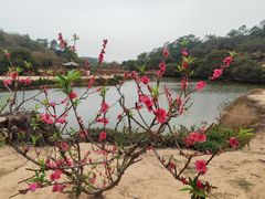 -南国桃园旅游度假区