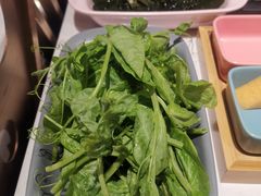 豌豆尖-小街猪手(团结湖店)