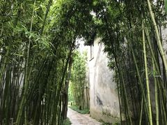 -乌村