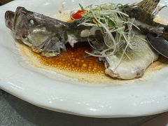 -聚福宝合苑食府(南头镇店)