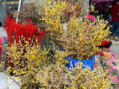 -平吉花卉市场