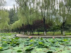 -唐山抗震纪念碑广场